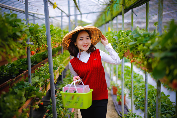 中信证券：缩表如期放缓，美联储降息仍需等待