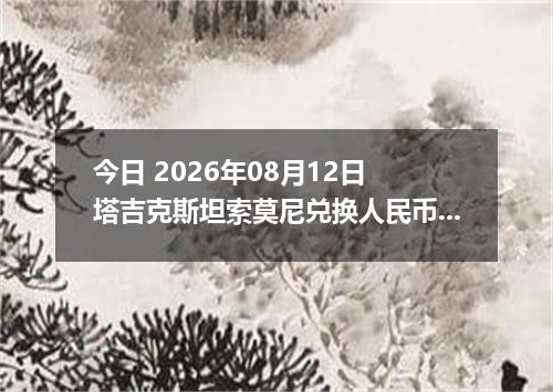 今日 2026年08月12日 塔吉克斯坦索莫尼兑换人民币最新汇率行情