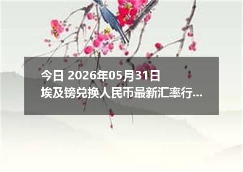 今日 2026年05月31日 埃及镑兑换人民币最新汇率行情